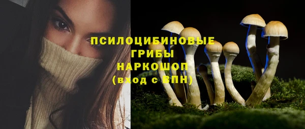 амф Алзамай